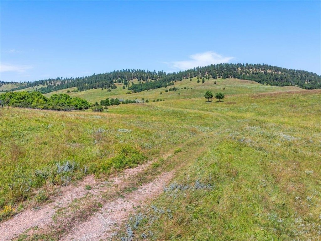 Whitewood, South Dakota, 57793, United States, ,Land,Forsale,1946243