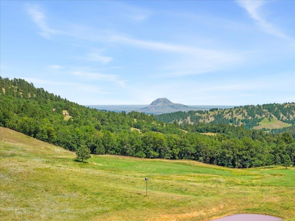 Whitewood, South Dakota, 57793, United States, ,Land,Forsale,1946243