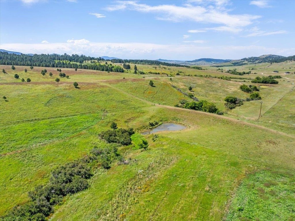 Whitewood, South Dakota, 57793, United States, ,Land,Forsale,1946243