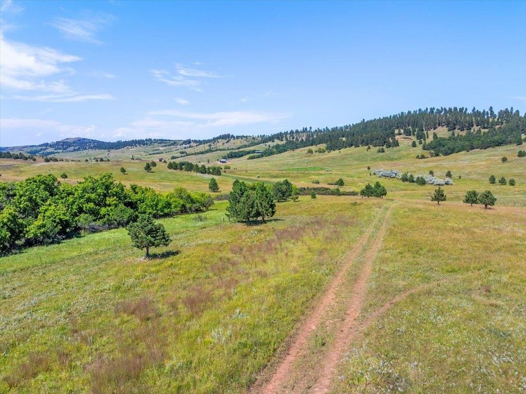 Whitewood, South Dakota, 57793, United States, ,Land,Forsale,1946243