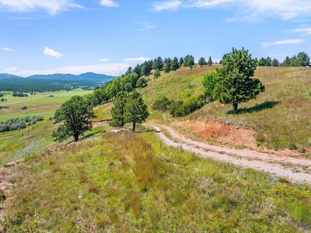 Whitewood, South Dakota, 57793, United States, ,Land,Forsale,1946243