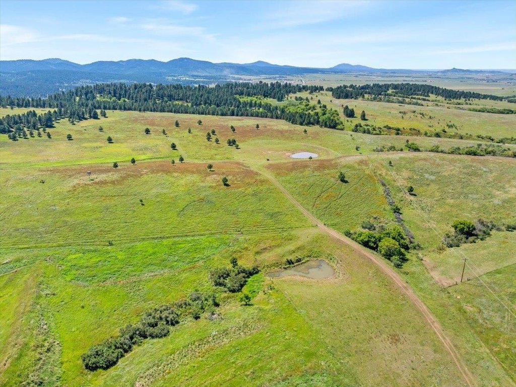 Whitewood, South Dakota, 57793, United States, ,Land,Forsale,1946243