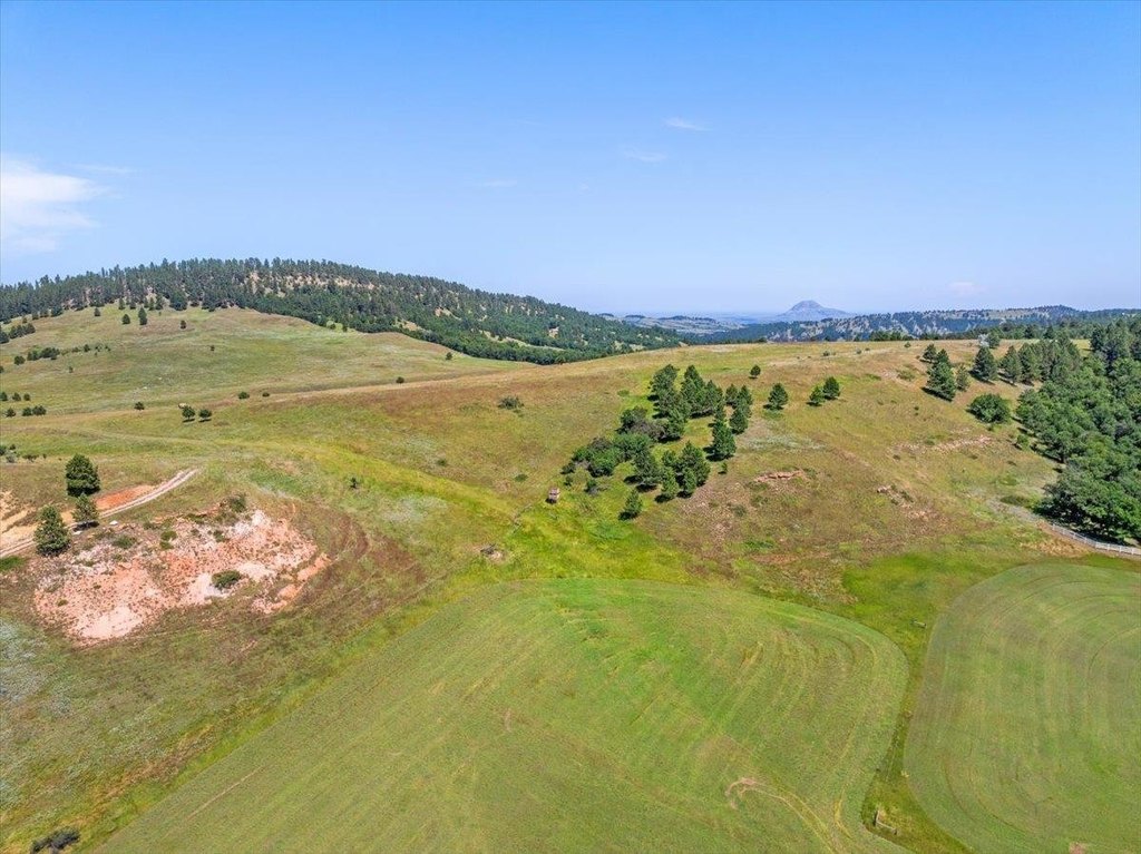 Whitewood, South Dakota, 57793, United States, ,Land,Forsale,1946243