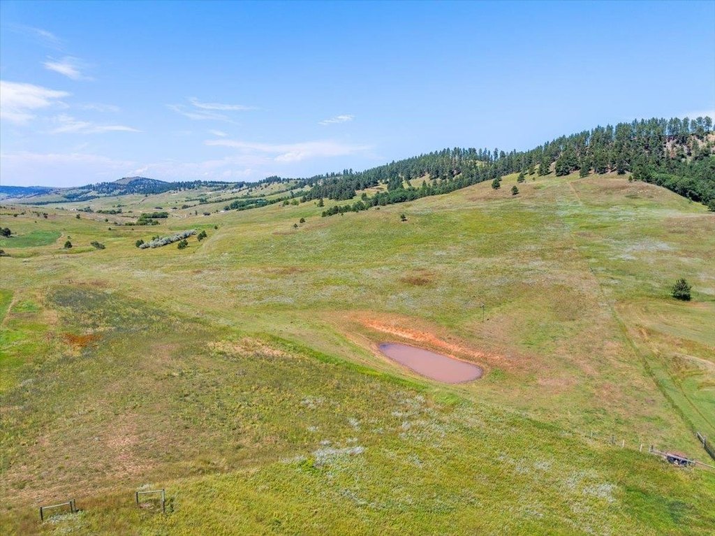 Whitewood, South Dakota, 57793, United States, ,Land,Forsale,1946243
