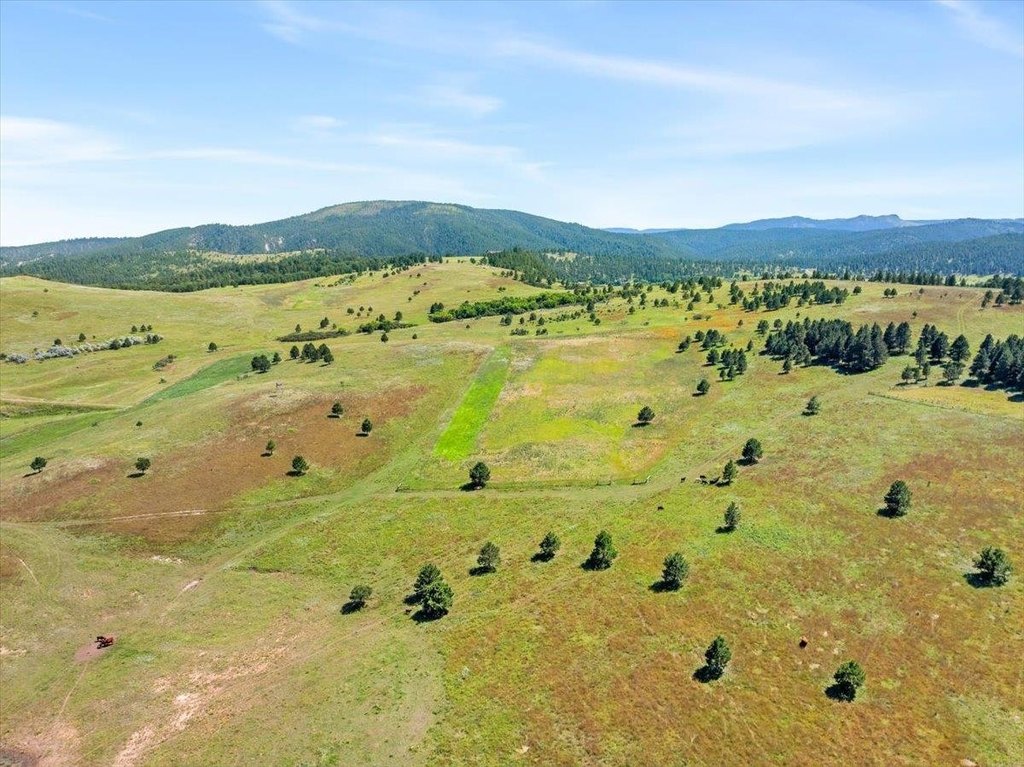 Whitewood, South Dakota, 57793, United States, ,Land,Forsale,1946243