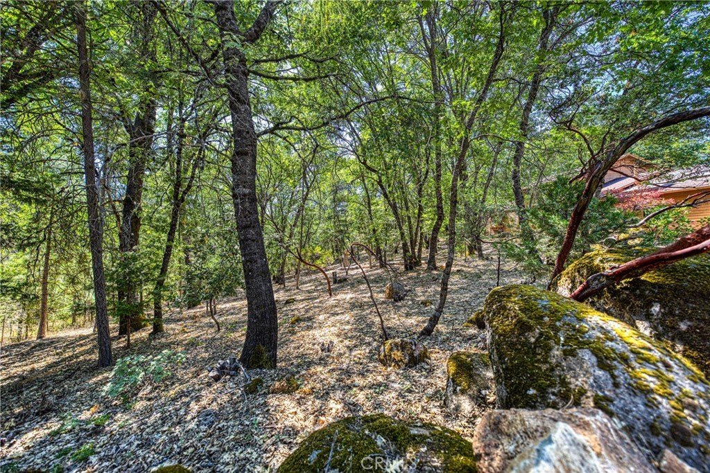 Kelseyville, California, 95451, United States, 3 Bedrooms Bedrooms, ,4 BathroomsBathrooms,Residential,Forsale,1953141