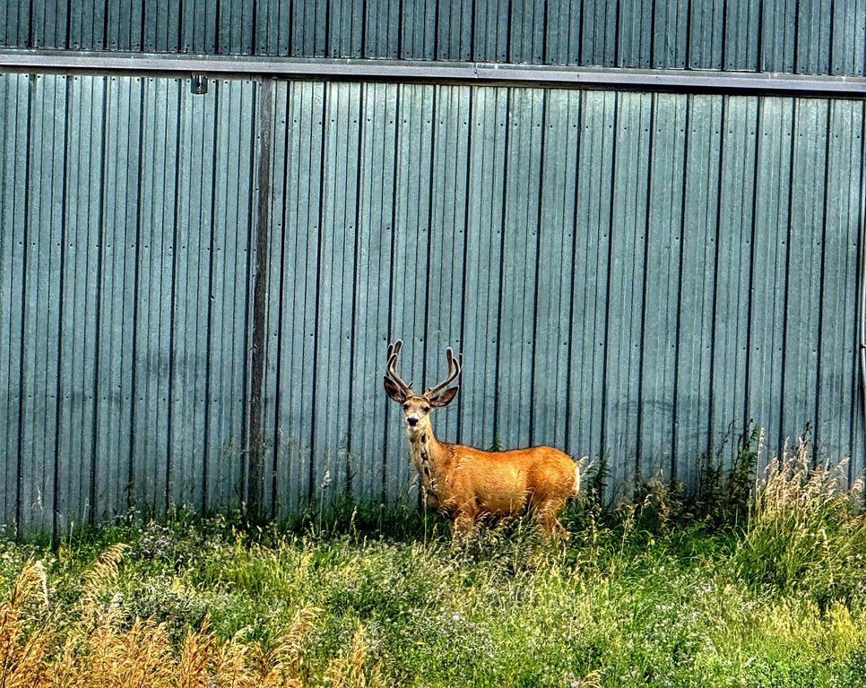 Sundance, Wyoming, 82729, United States, 1 Bedroom Bedrooms, ,2 BathroomsBathrooms,Residential,Forsale,1990709