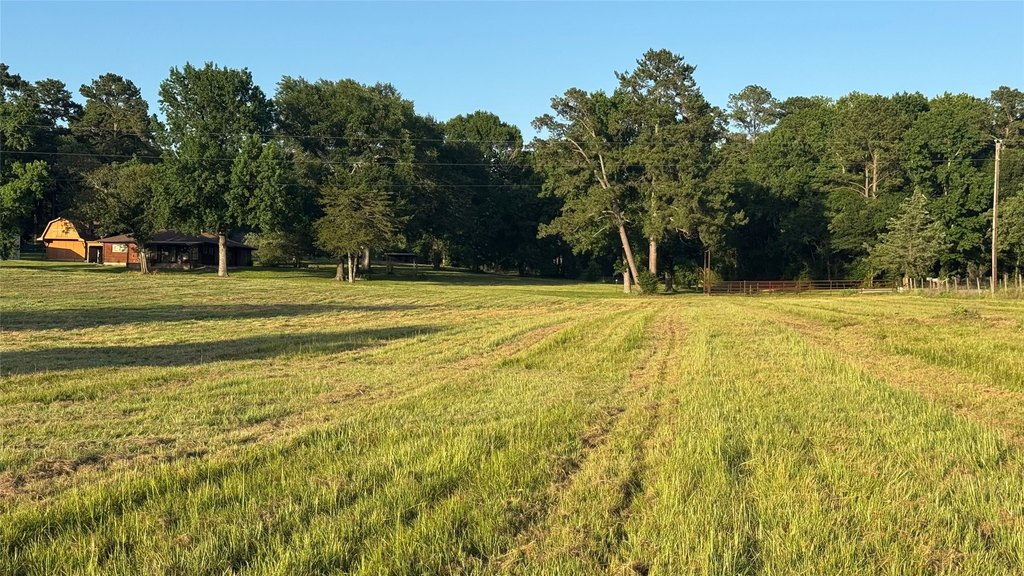 Montgomery, Texas, 77356, United States, ,Land,Forsale,1973429