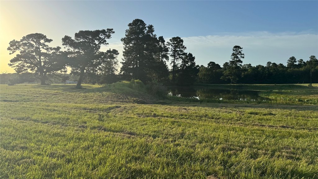 Montgomery, Texas, 77356, United States, ,Land,Forsale,1973429