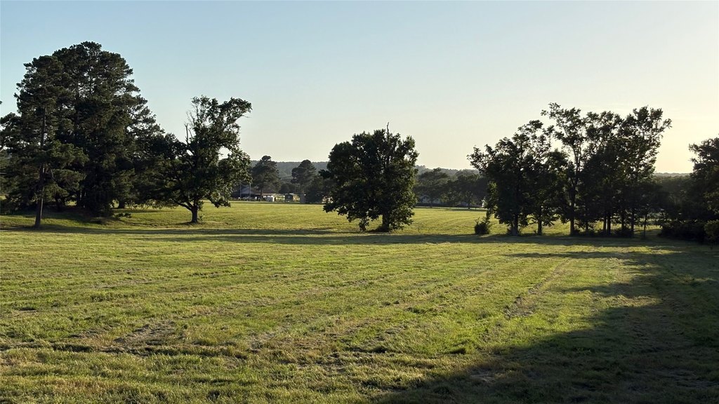 Montgomery, Texas, 77356, United States, ,Land,Forsale,1973429