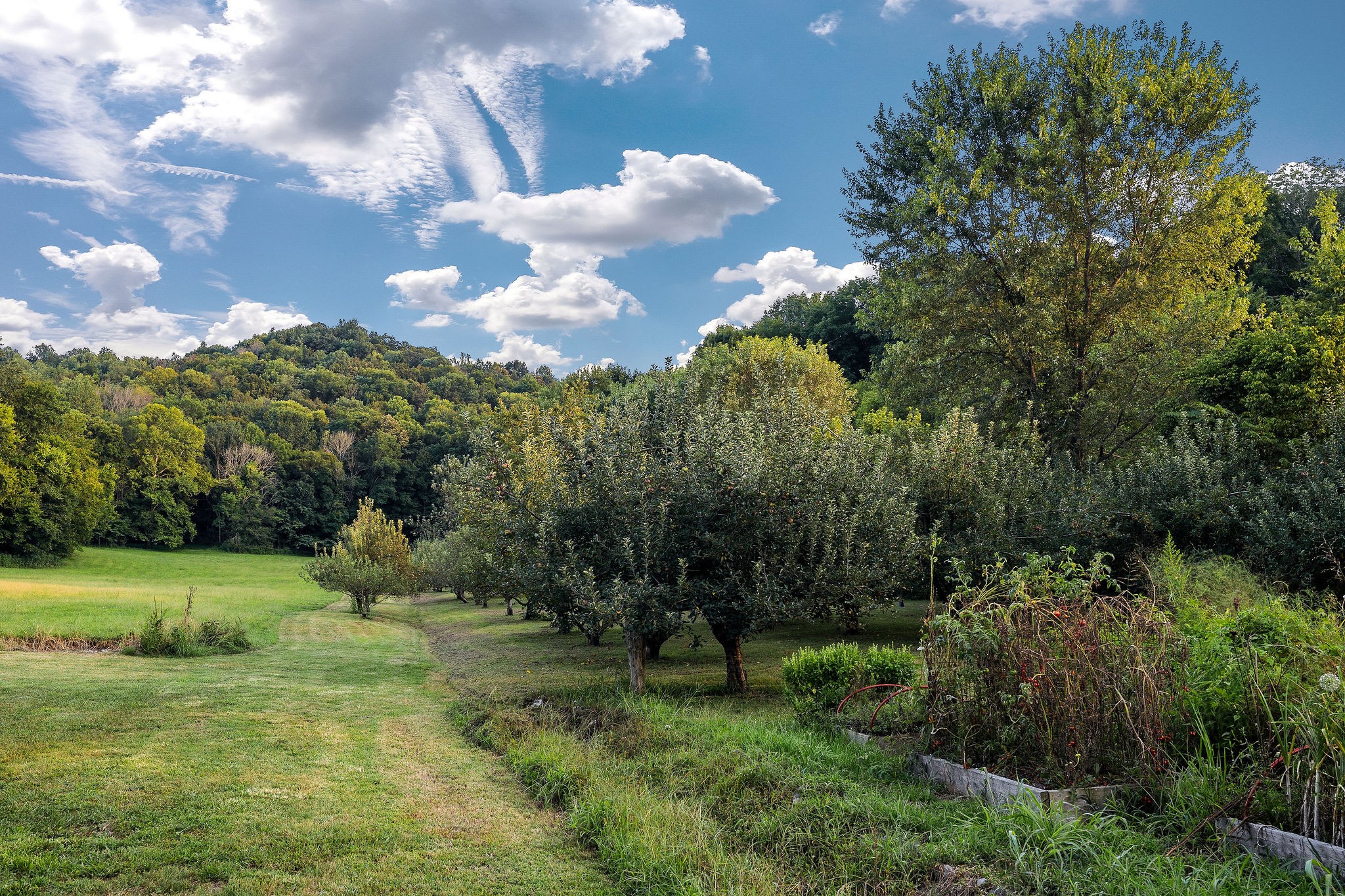 Lancaster, Tennessee, 38569, United States, 3 Bedrooms Bedrooms, ,2 BathroomsBathrooms,Residential,Forsale,1999476