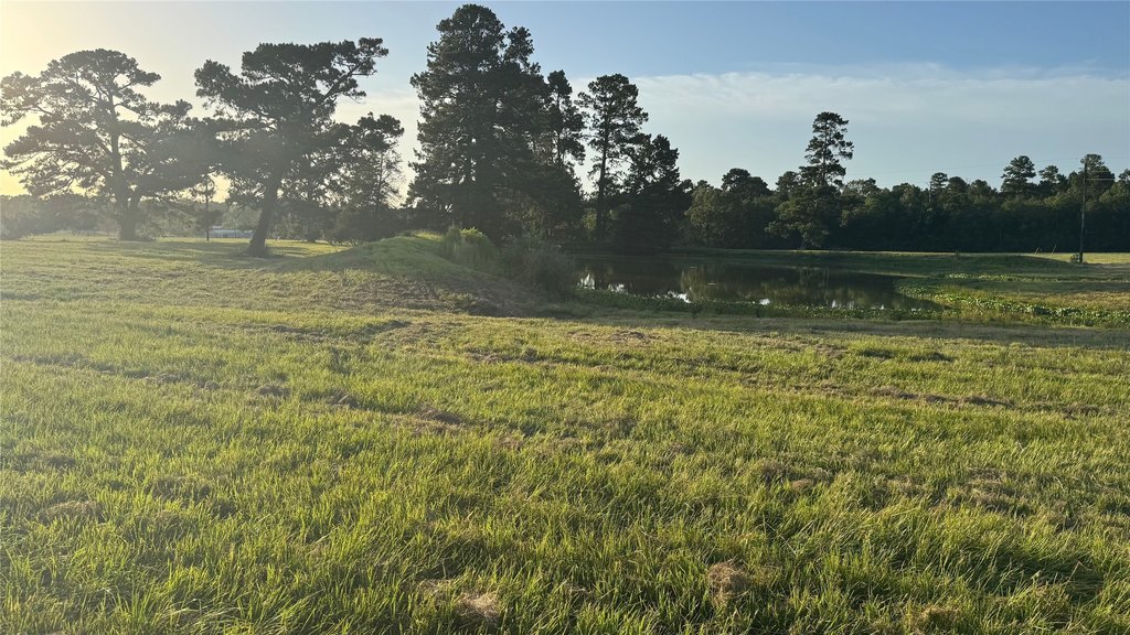 Montgomery, Texas, 77356, United States, ,Land,Forsale,1973429