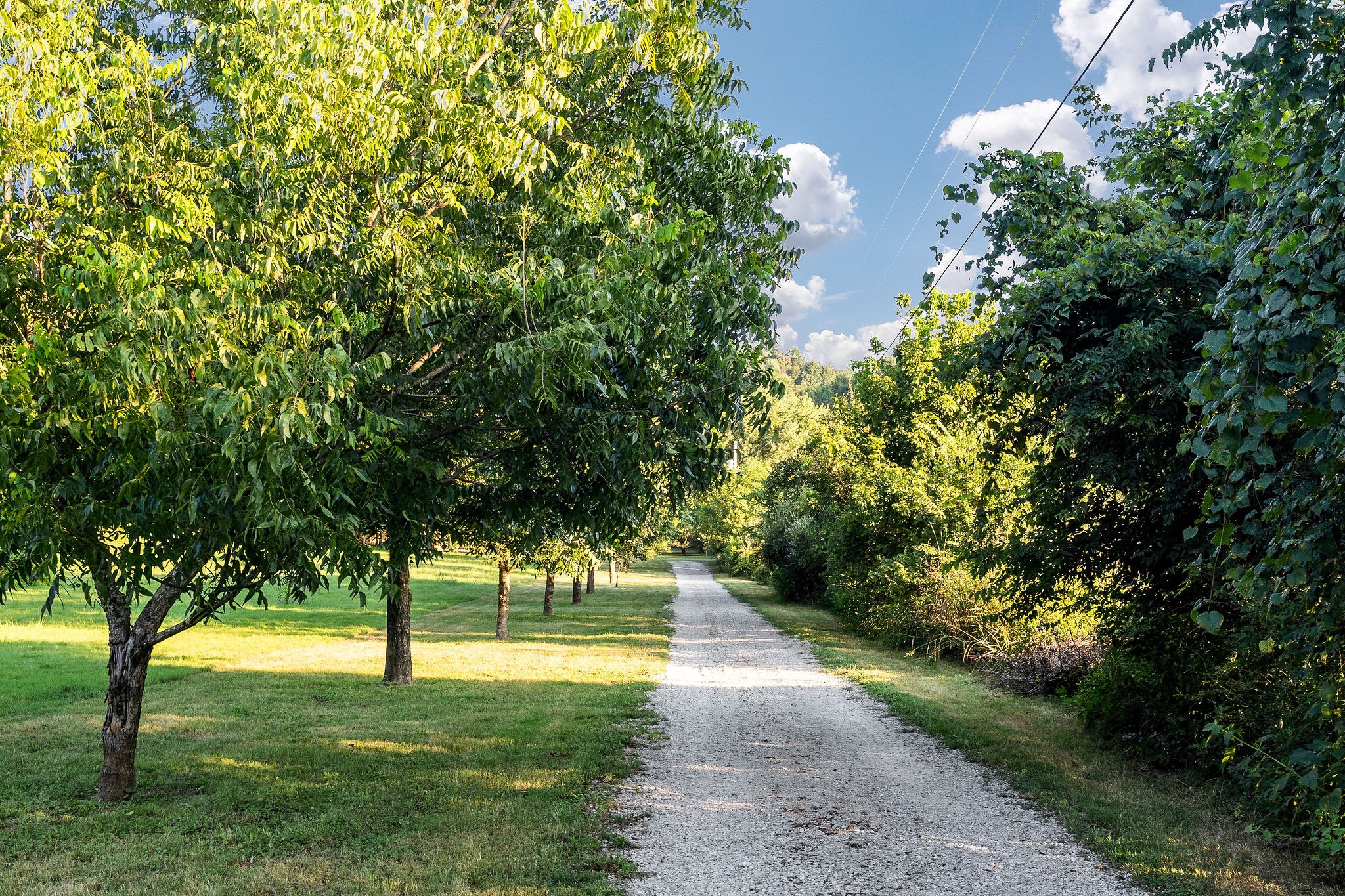 Lancaster, Tennessee, 38569, United States, 3 Bedrooms Bedrooms, ,2 BathroomsBathrooms,Residential,Forsale,1999476