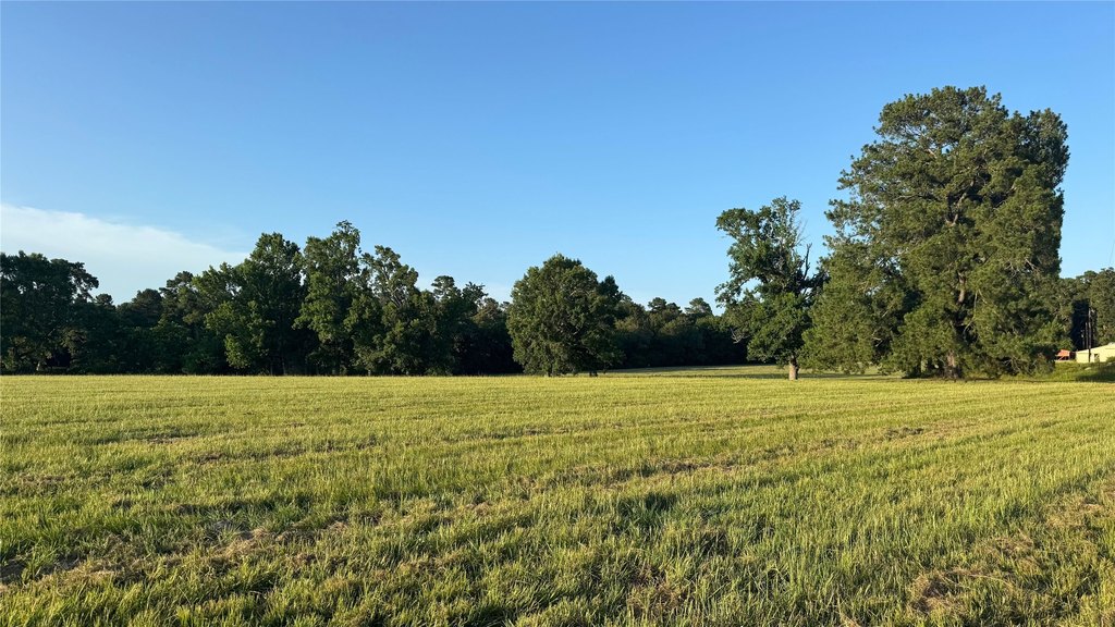 Montgomery, Texas, 77356, United States, ,Land,Forsale,1973429