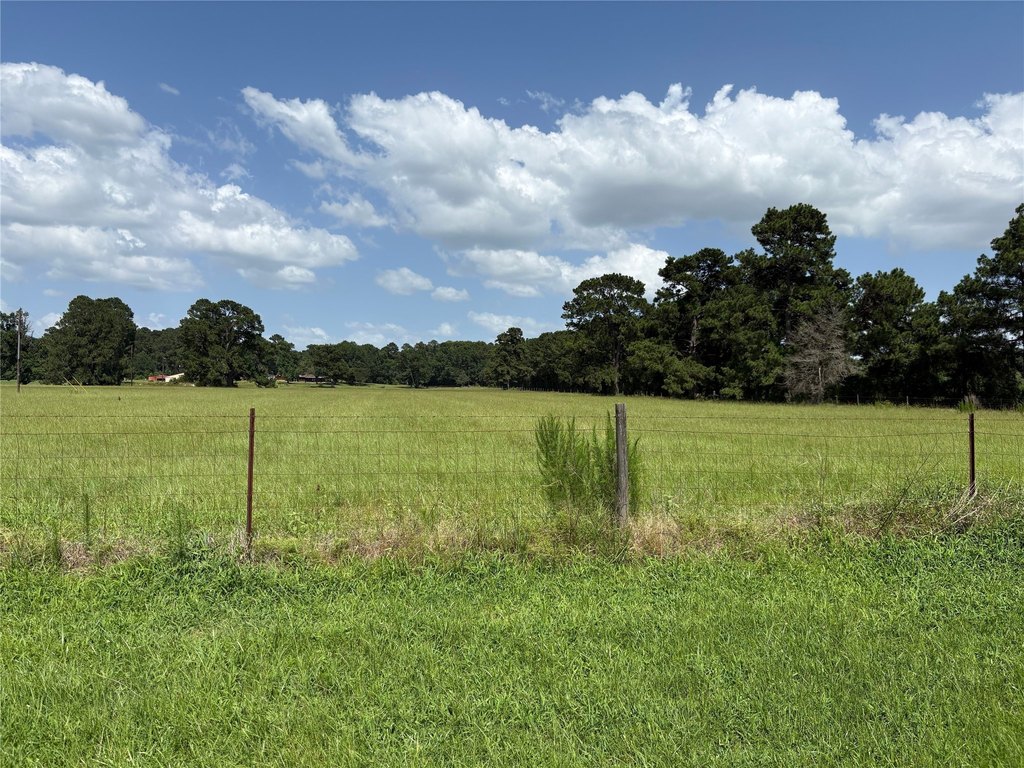 Montgomery, Texas, 77356, United States, ,Land,Forsale,1973429