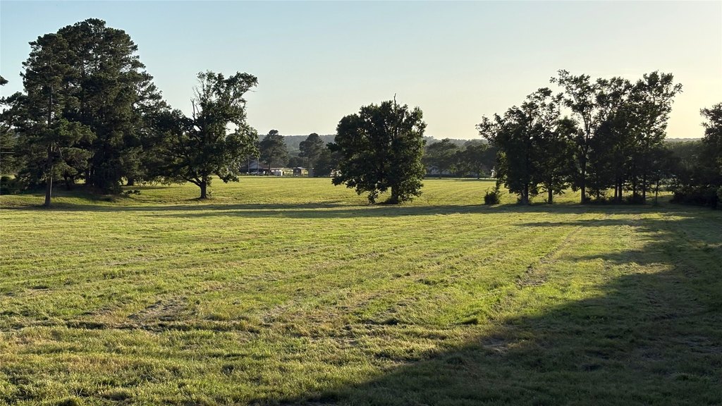 Montgomery, Texas, 77356, United States, ,Land,Forsale,1973429