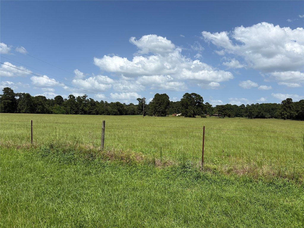 Montgomery, Texas, 77356, United States, ,Land,Forsale,1973429
