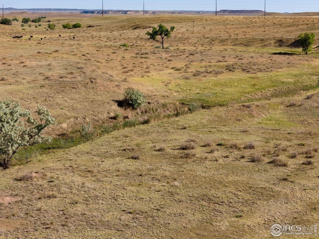 Wellington, Colorado, 80549, United States, ,Residential,Forsale,1946731