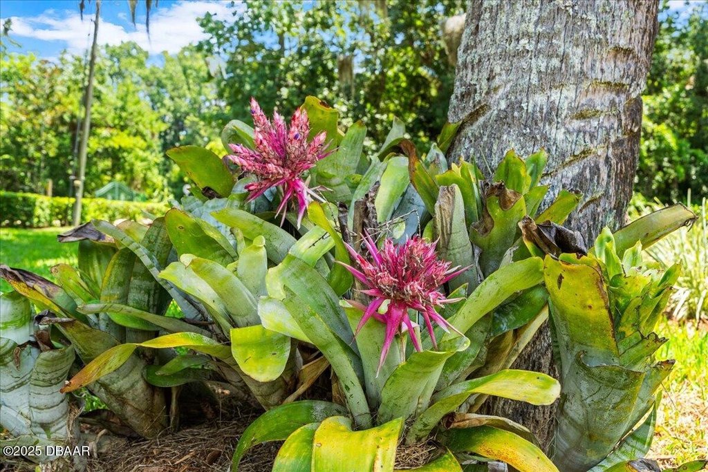 Daytona Beach, Florida, 32119, United States, 2 Bedrooms Bedrooms, ,1 BathroomBathrooms,Residential,Forsale,1990162