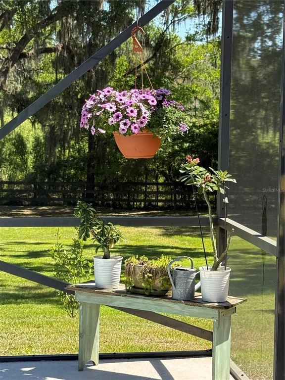 OCALA, Florida, 34482, United States, 3 Bedrooms Bedrooms, ,2 BathroomsBathrooms,Residential,Forsale,1969788