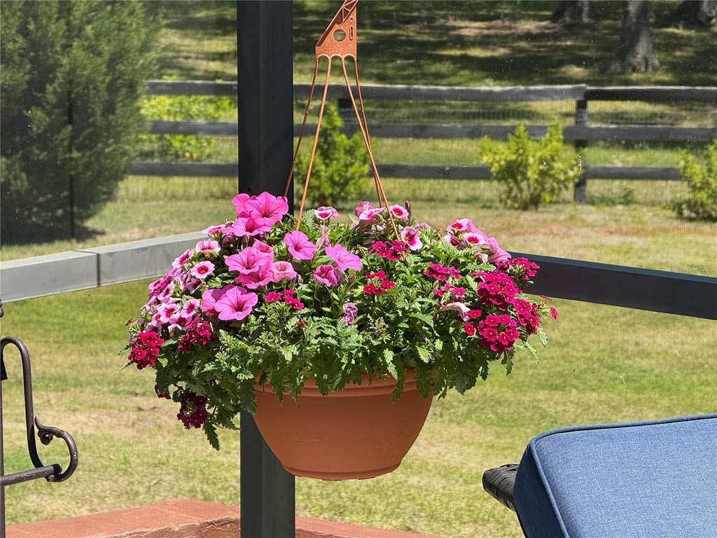 OCALA, Florida, 34482, United States, 3 Bedrooms Bedrooms, ,2 BathroomsBathrooms,Residential,Forsale,1969788