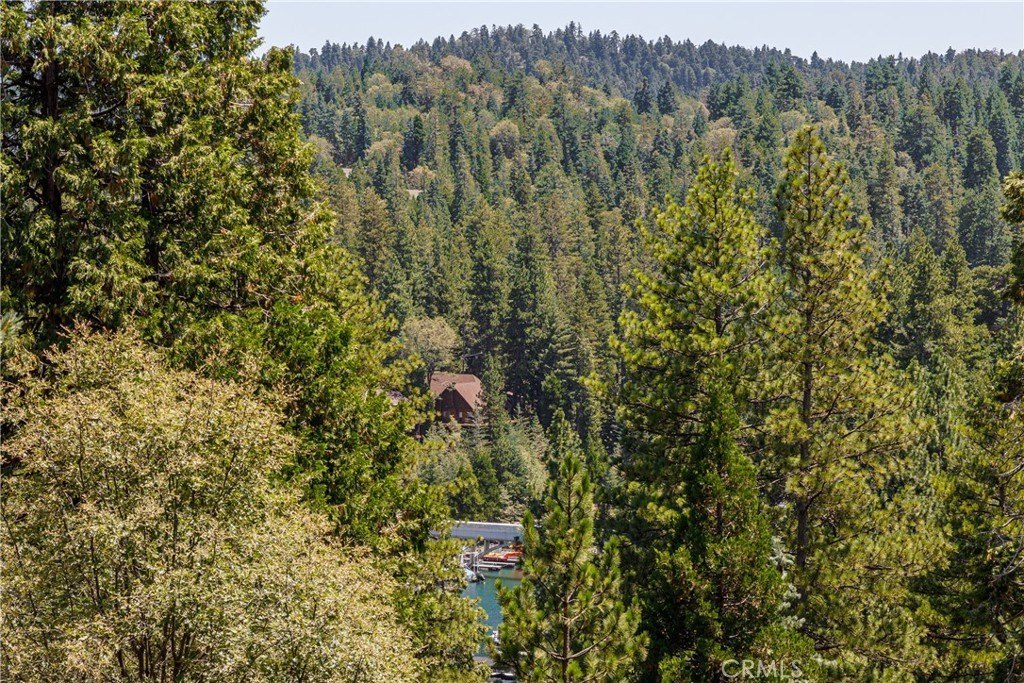 Lake Arrowhead, California, 92352, United States, 3 Bedrooms Bedrooms, ,3 BathroomsBathrooms,Residential,Forsale,1953305
