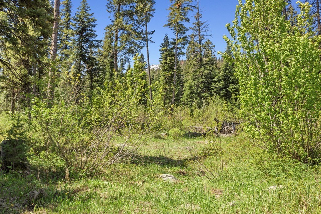 Cascade, Idaho, 83611, United States, 1 Bedroom Bedrooms, ,1.5 BathroomsBathrooms,Residential,Forsale,1889402