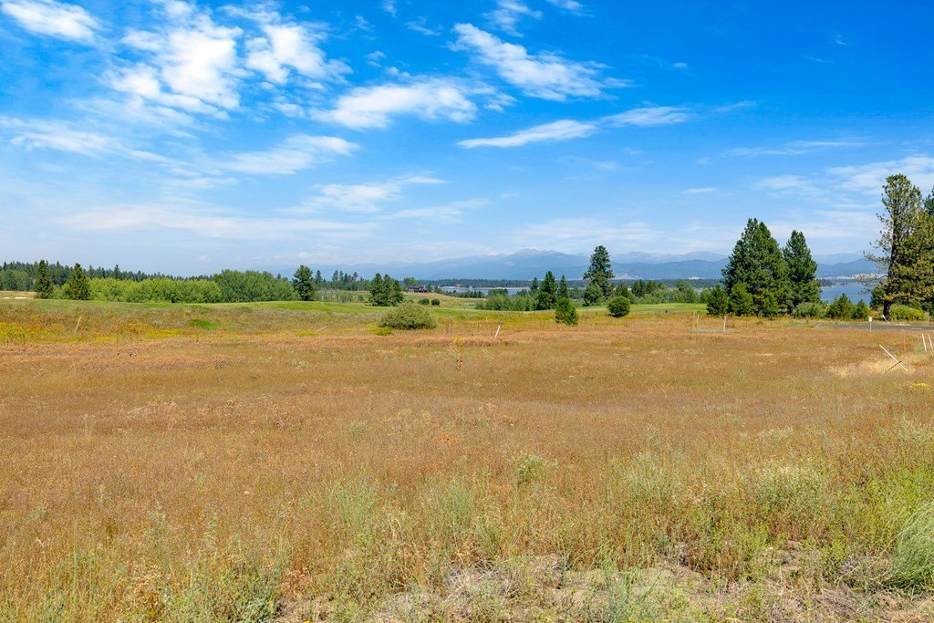 Donnelly, Idaho, 83615, United States, ,Land,Forsale,1996712
