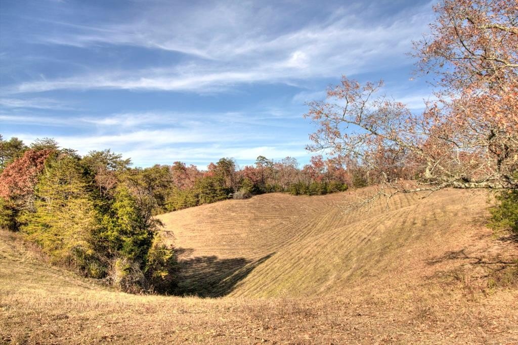 Sevierville, Tennessee, 37876, United States, ,Land,Forsale,1893796