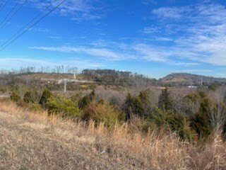 Sevierville, Tennessee, 37764, United States, ,Commercial,Forsale,1893795