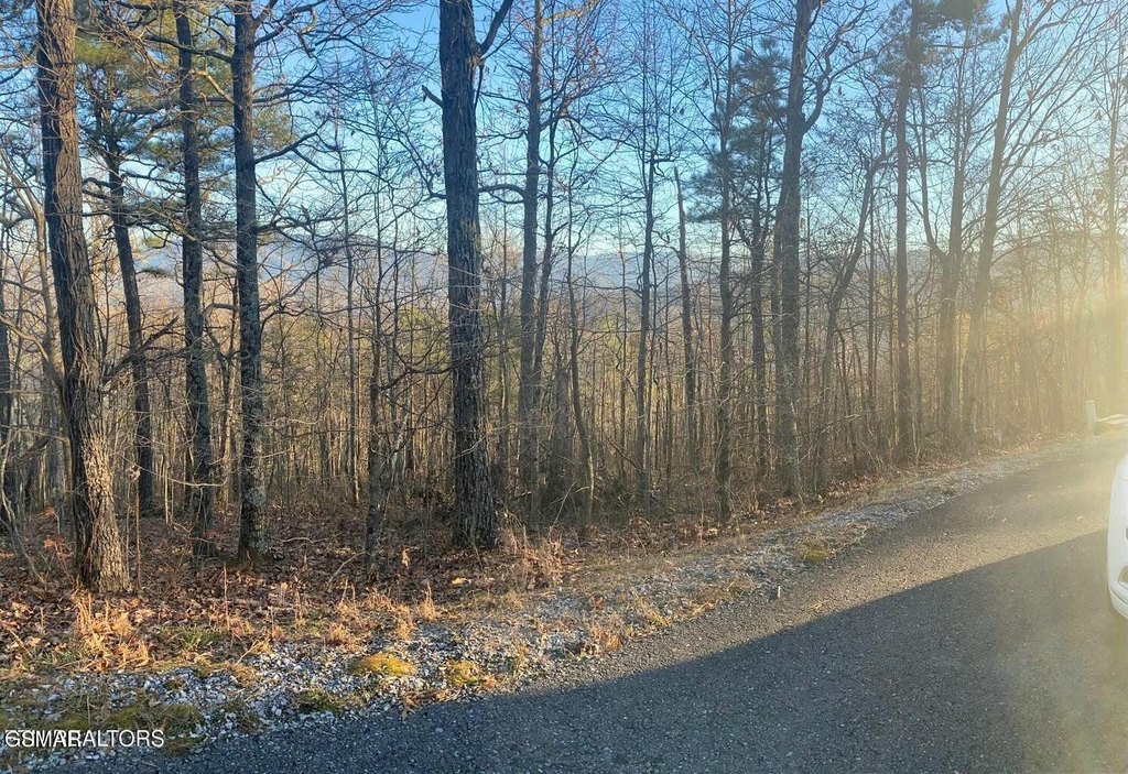 Gatlinburg, Tennessee, 37738, United States, 3 Bedrooms Bedrooms, ,3 BathroomsBathrooms,Residential,Forsale,1942462