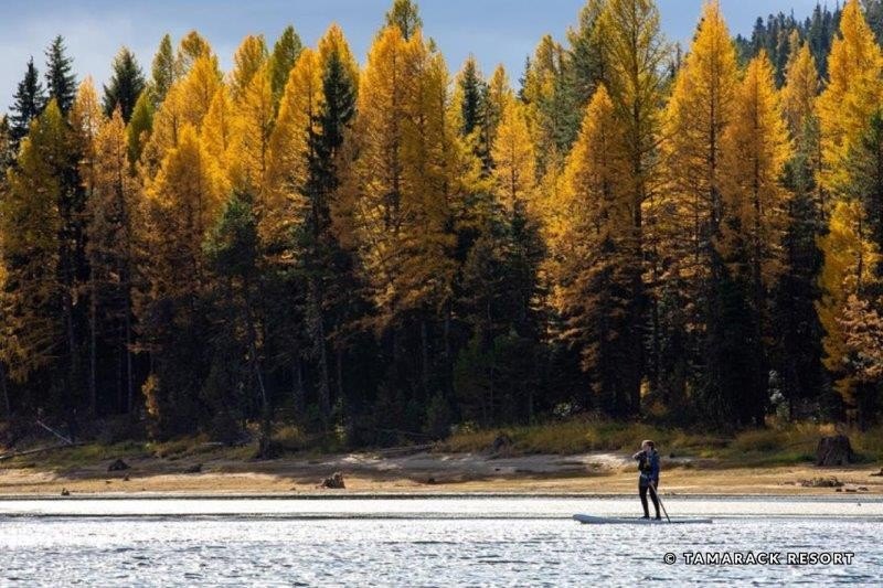 Donnelly, Idaho, 83615, United States, 1 Bedroom Bedrooms, ,1 BathroomBathrooms,Residential,Forsale,1946167