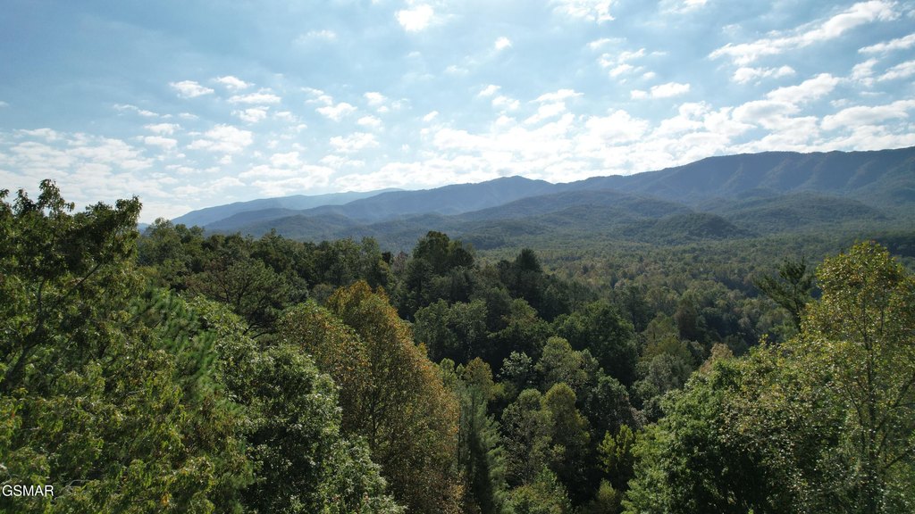 Gatlinburg, Tennessee, 37738, United States, 3 Bedrooms Bedrooms, ,3 BathroomsBathrooms,Residential,Forsale,1899765