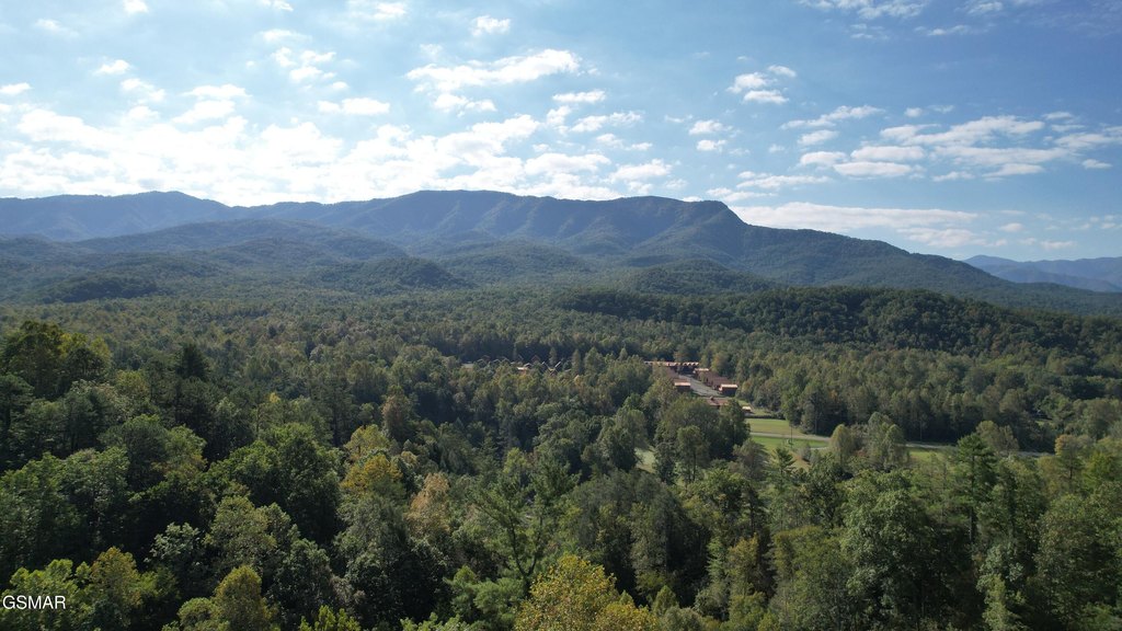 Gatlinburg, Tennessee, 37738, United States, 3 Bedrooms Bedrooms, ,3 BathroomsBathrooms,Residential,Forsale,1899765