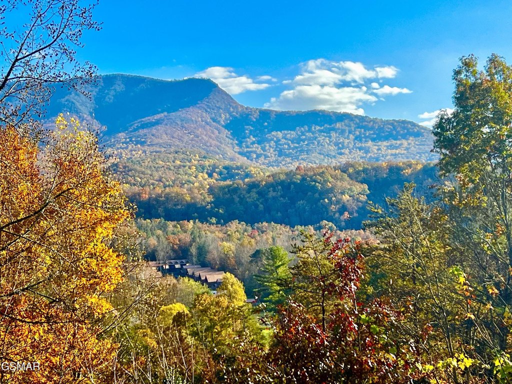 Gatlinburg, Tennessee, 37738, United States, 3 Bedrooms Bedrooms, ,3 BathroomsBathrooms,Residential,Forsale,1899765
