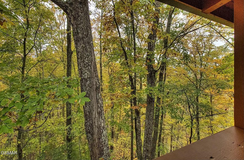 Sevierville, Tennessee, 37862, United States, 2 Bedrooms Bedrooms, ,2 BathroomsBathrooms,Residential,Forsale,1893745