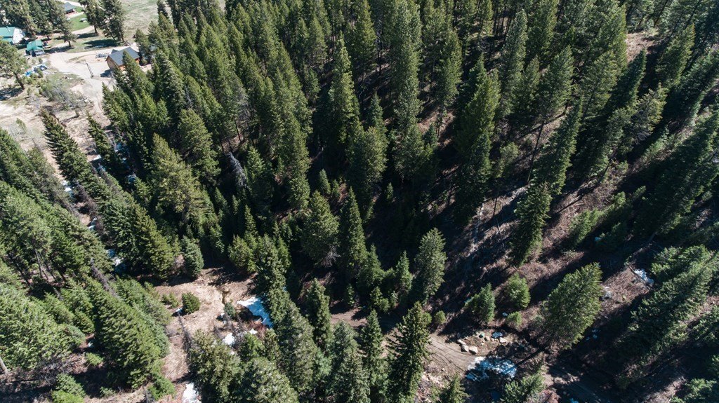 Cascade, Idaho, 83611, United States, 8 Bedrooms Bedrooms, ,9 BathroomsBathrooms,Residential,Forsale,1946149