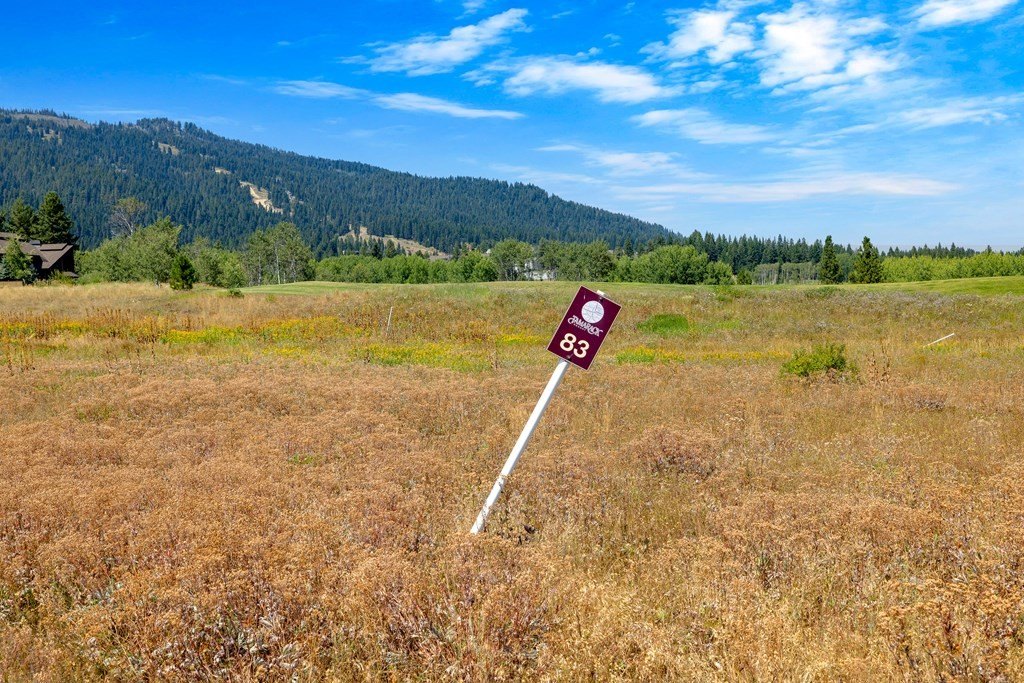 Donnelly, Idaho, 83615, United States, ,Land,Forsale,1996712