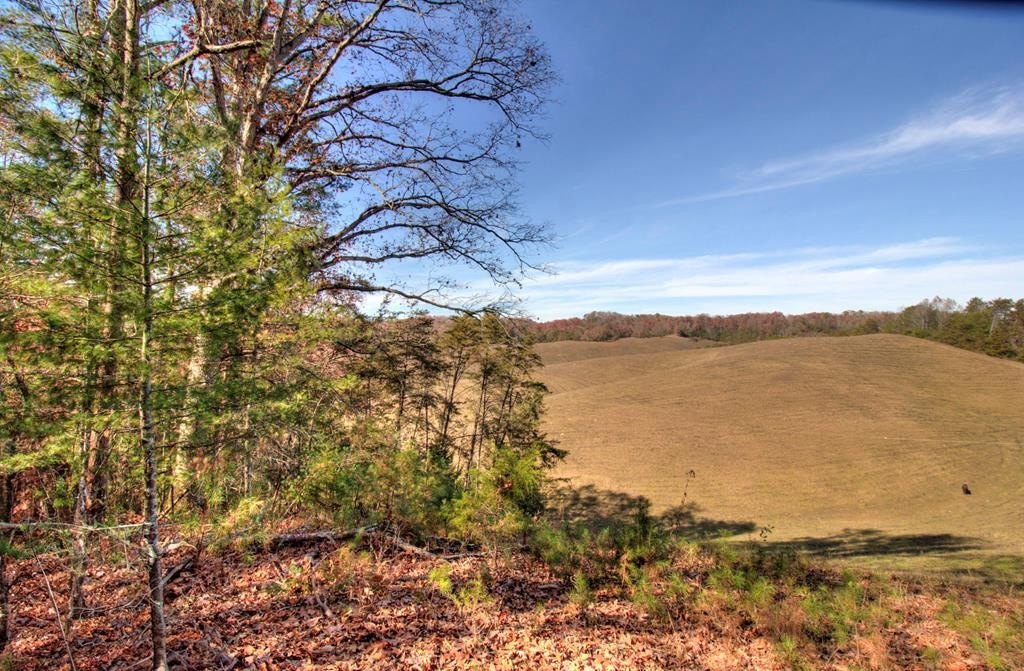 Sevierville, Tennessee, 37876, United States, ,Land,Forsale,1893796