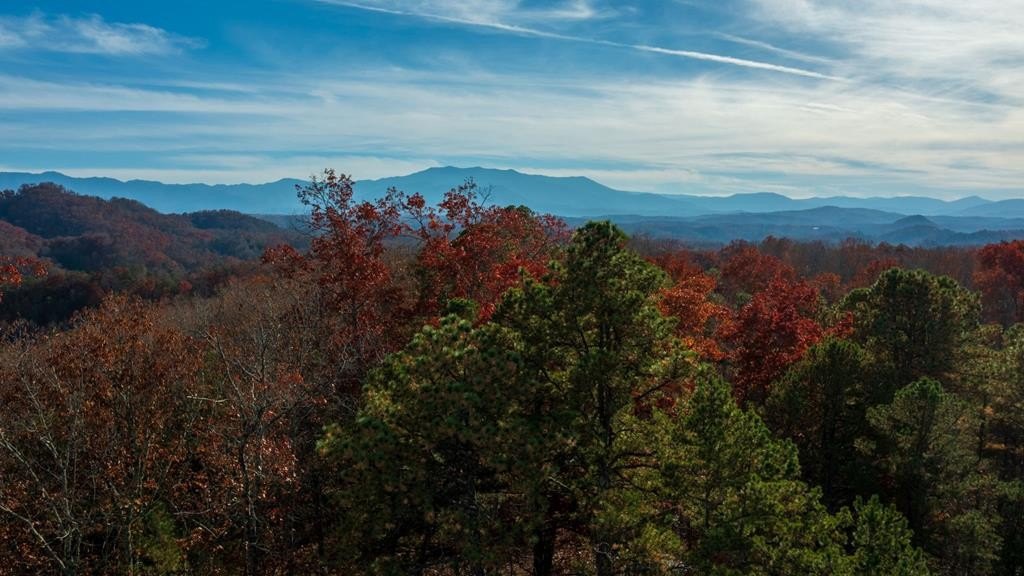 Sevierville, Tennessee, 37876, United States, ,Land,Forsale,1893796
