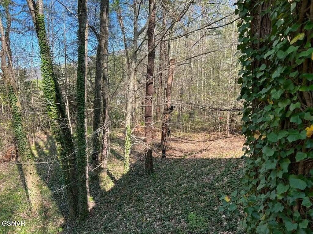 Sevierville, Tennessee, 37862, United States, 2 Bedrooms Bedrooms, ,2 BathroomsBathrooms,Residential,Forsale,1893750