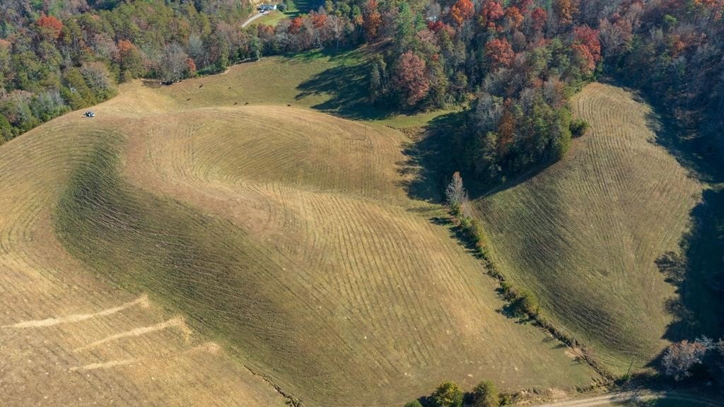 Sevierville, Tennessee, 37876, United States, ,Land,Forsale,1893796