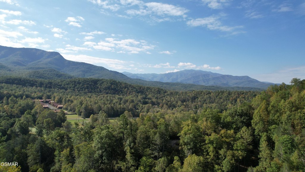 Gatlinburg, Tennessee, 37738, United States, 3 Bedrooms Bedrooms, ,3 BathroomsBathrooms,Residential,Forsale,1899765