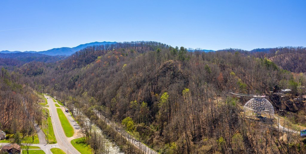 Pigeon Forge, Tennessee, 37863, United States, ,Commercial,Forsale,1893778