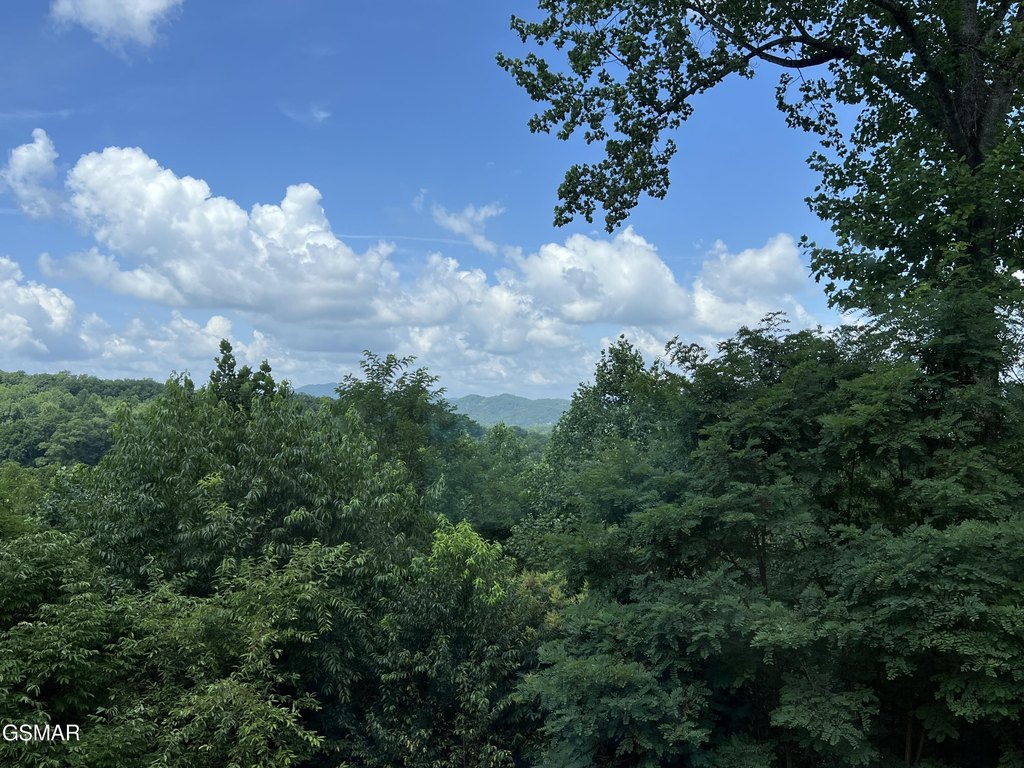 Sevierville, Tennessee, 37862, United States, 3 Bedrooms Bedrooms, ,3 BathroomsBathrooms,Residential,Forsale,1910187