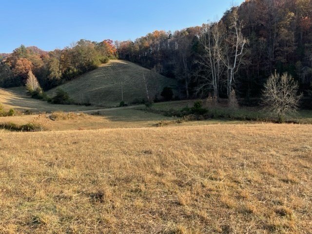 Sevierville, Tennessee, 37876, United States, ,Land,Forsale,1893796