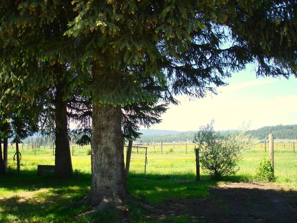 New Meadows, Idaho, 83654, United States, 3 Bedrooms Bedrooms, ,2 BathroomsBathrooms,Residential,Forsale,1889394