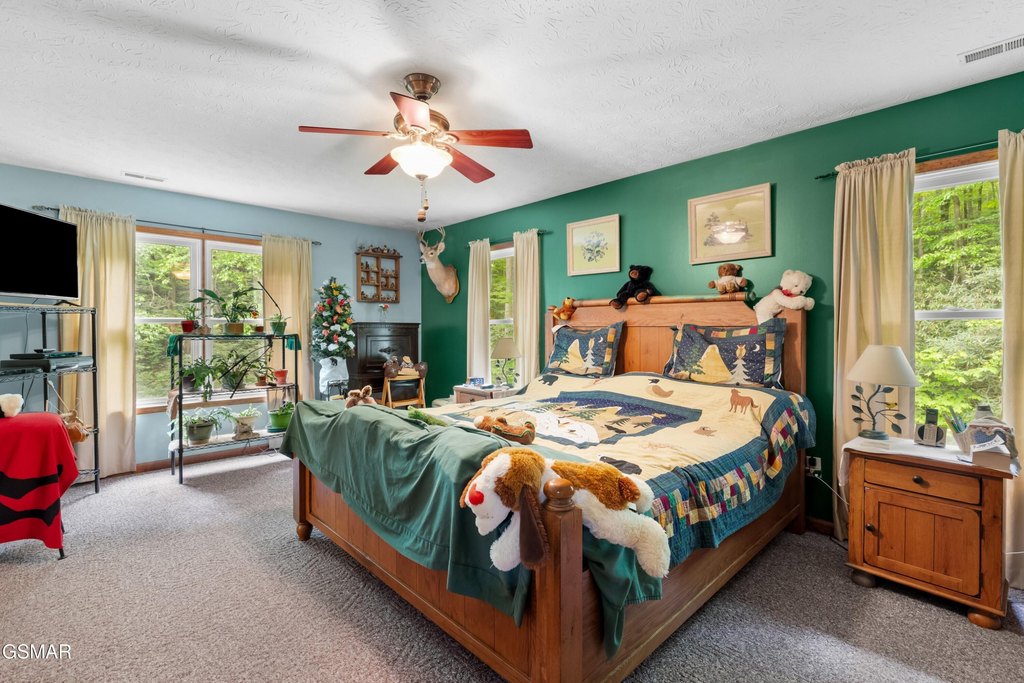 Del Rio, Tennessee, 37727, United States, 5 Bedrooms Bedrooms, ,3 BathroomsBathrooms,Residential,Forsale,1893784
