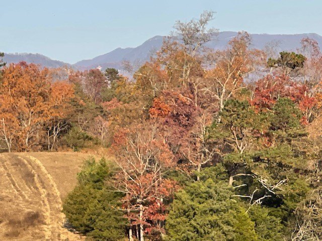 Sevierville, Tennessee, 37876, United States, ,Land,Forsale,1893796