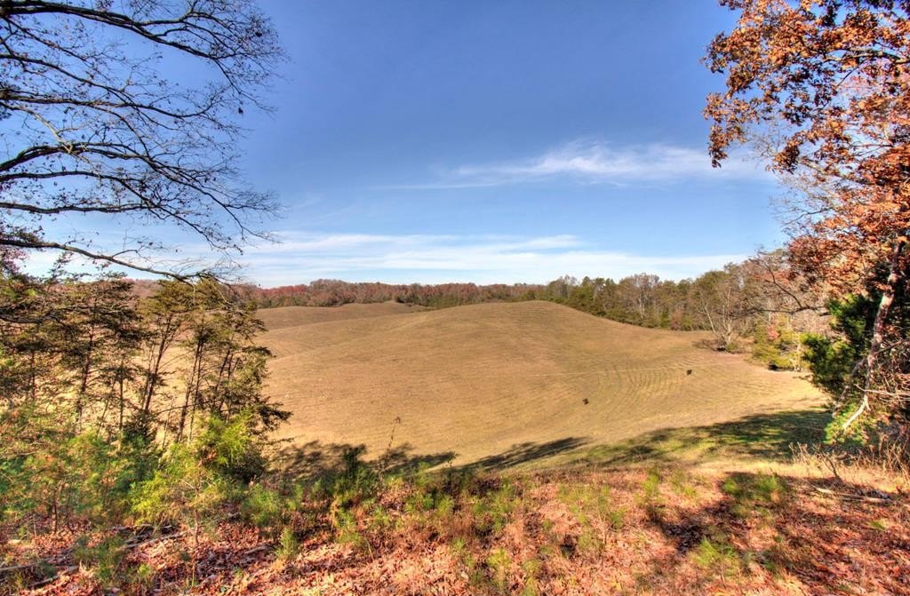 Sevierville, Tennessee, 37876, United States, ,Land,Forsale,1893796